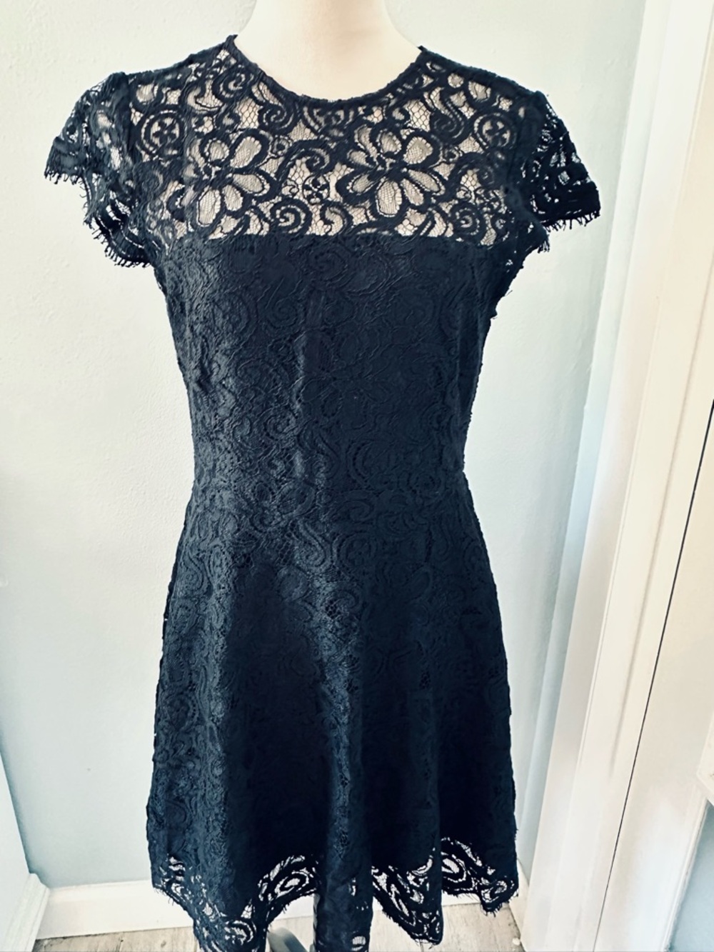 BB Dakota Black Floral Lace Mini Dress